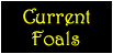 finchwood_miniaturesbutton_currentfoals.png